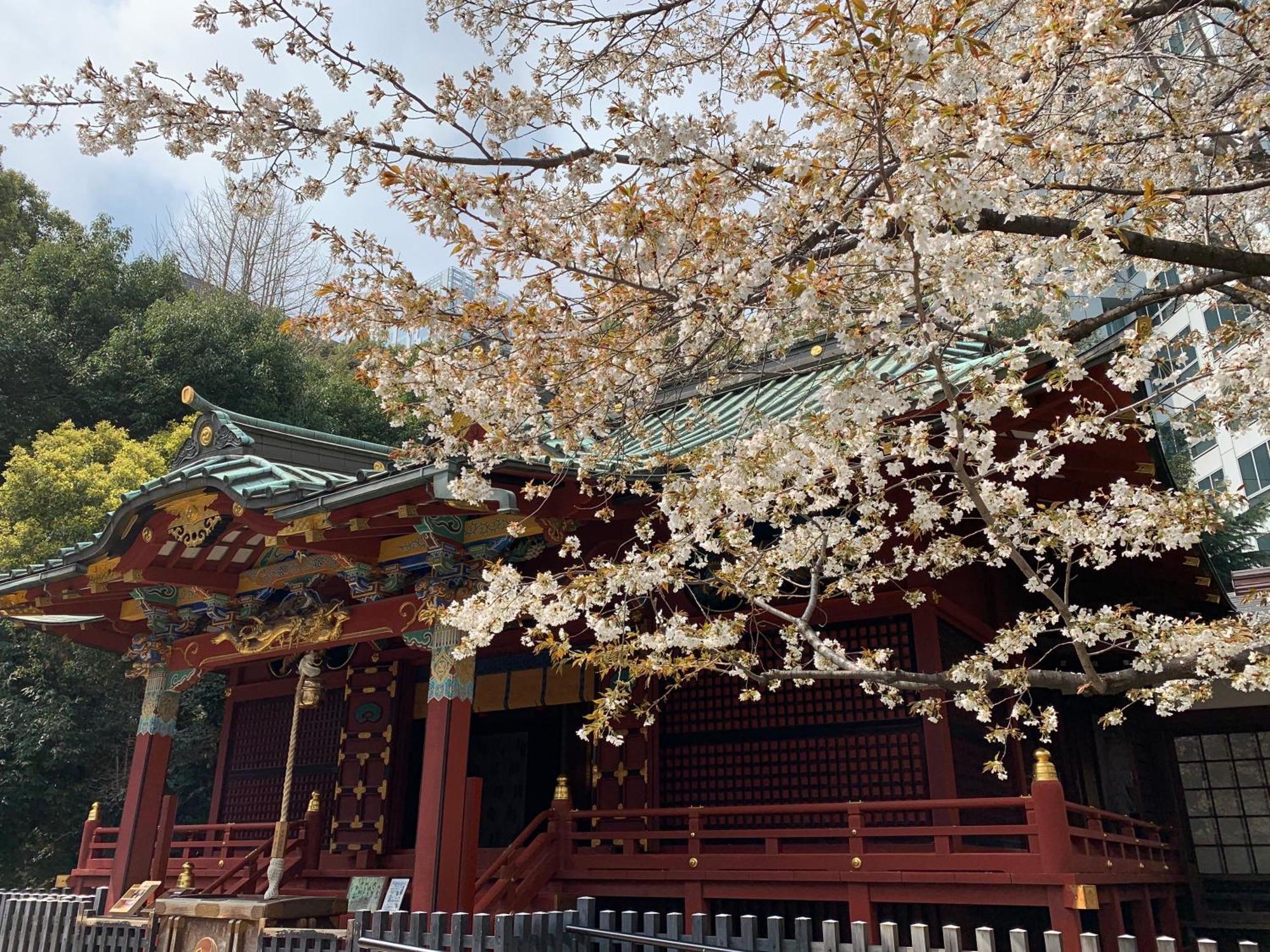 涩谷道玄坂上apa酒店 東京都 外观 照片