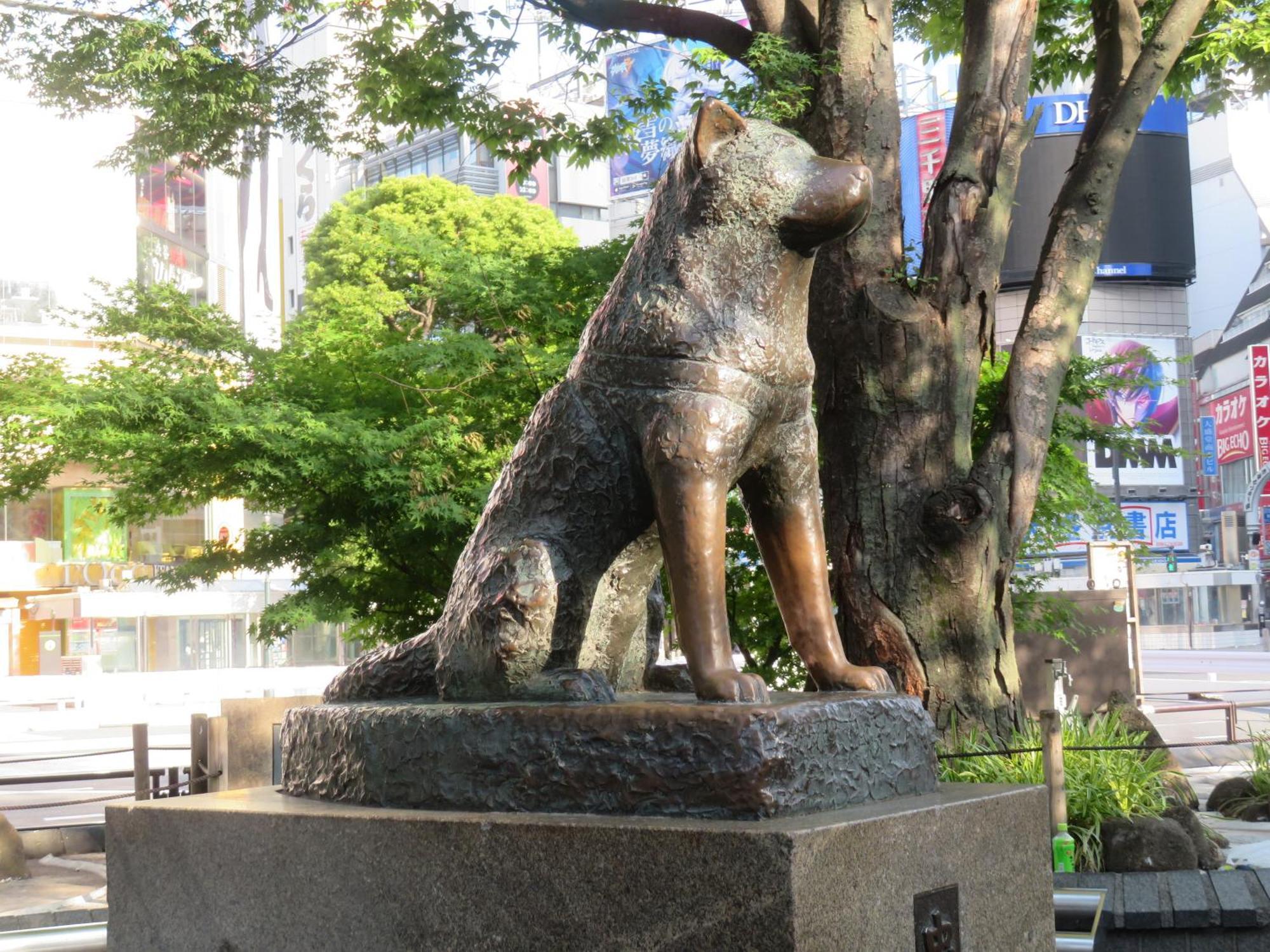 涩谷道玄坂上apa酒店 東京都 外观 照片